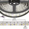 RGBW LED Strip Lights - Dual Row 24V LED Tape Light With White And Multicolor LEDs - 530 Lumens/ft.