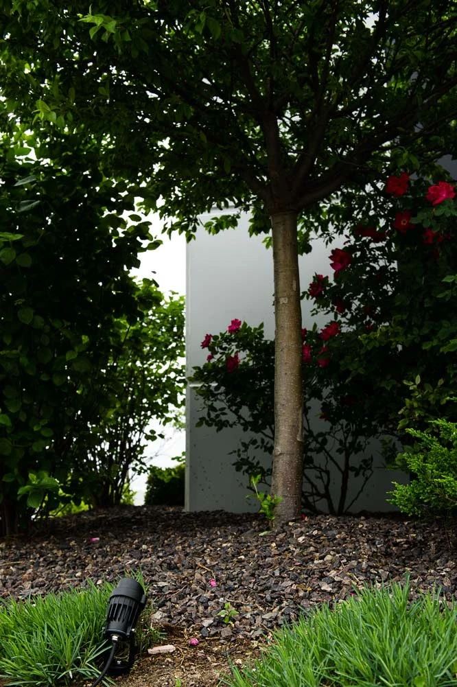 5 Watt Landscape LED Spotlight With Mounting Spike - 25 Watt Equivalent - 250 Lumens - Blue - Black Housing - Image 14