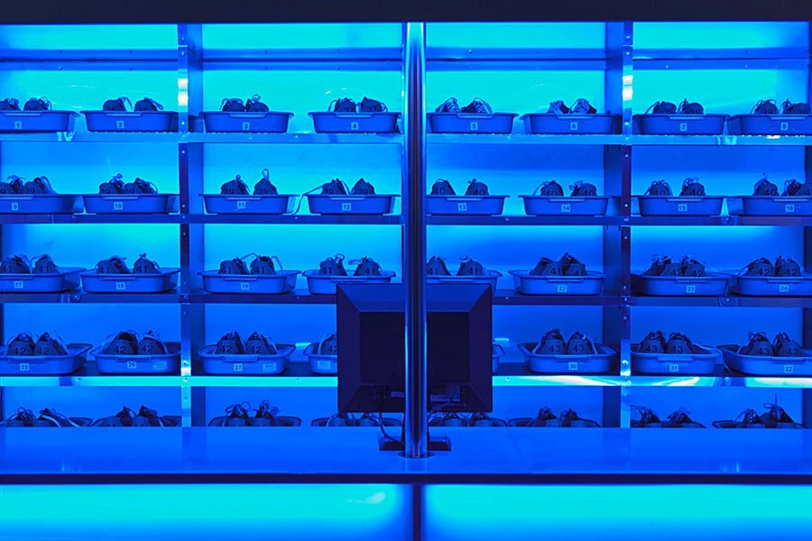 30m RGB LED Strip Light - Color-Changing LED Tape Light - 24V - IP20 - RGB - 1181.4in (98.40ft) - Image 9