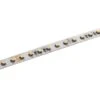 5m Tunable White LED Strip Light - LED Tape Light - 12V / 24V - IP20