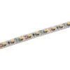 5m White LED Strip Light - Eco Series Tape Light - 12V/24V - IP20 - Cool White 6500K - 196.9in (16.40ft)