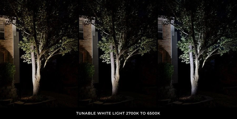 MR16 MiBoxer RGB+Tunable White Smart LED Bulb - 4W - 35W Equivalent - 280 Lumens - Optional RF Remote - Image 4