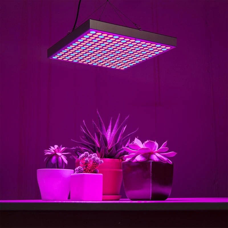 30W LED Grow Light - 2-Band Red/Blue For Indoor Plant Growth - GLS-30W2F - Image 7