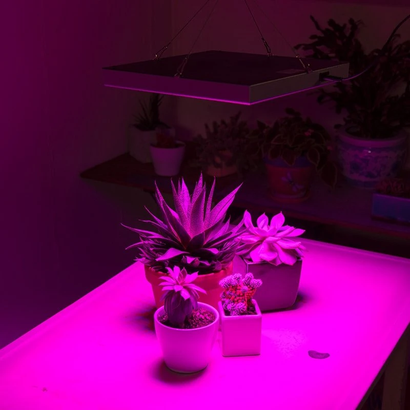 30W LED Grow Light - 2-Band Red/Blue For Indoor Plant Growth - GLS-30W2F - Image 8