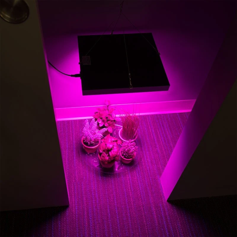 30W LED Grow Light - 2-Band Red/Blue For Indoor Plant Growth - GLS-30W2F - Image 9