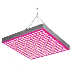 30W LED Grow Light - 2-Band Red/Blue For Indoor Plant Growth - GLS-30W2F