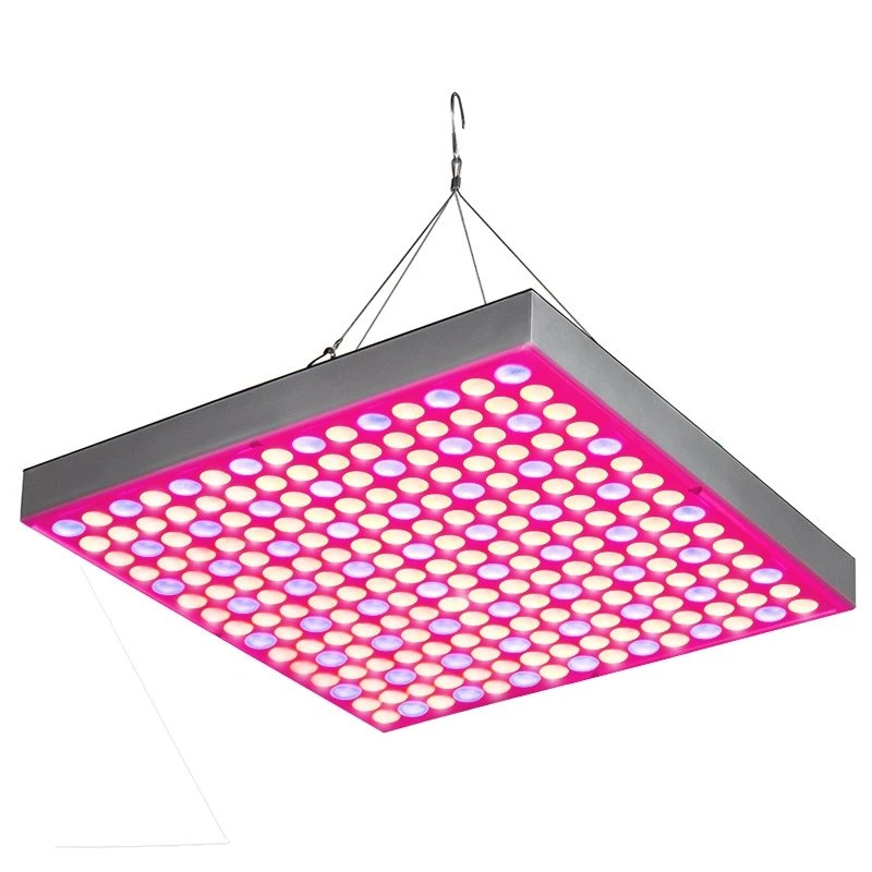 30W LED Grow Light - 2-Band Red/Blue For Indoor Plant Growth - GLS-30W2F