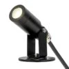 3W LED Landscape Spotlight - 175 Lumens - Natural White Black Housing