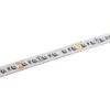 30m Single Color LED Strip Light - HighLight Series Tape Light - 24V - IP20 - Red - 1181.4in (98.40ft)