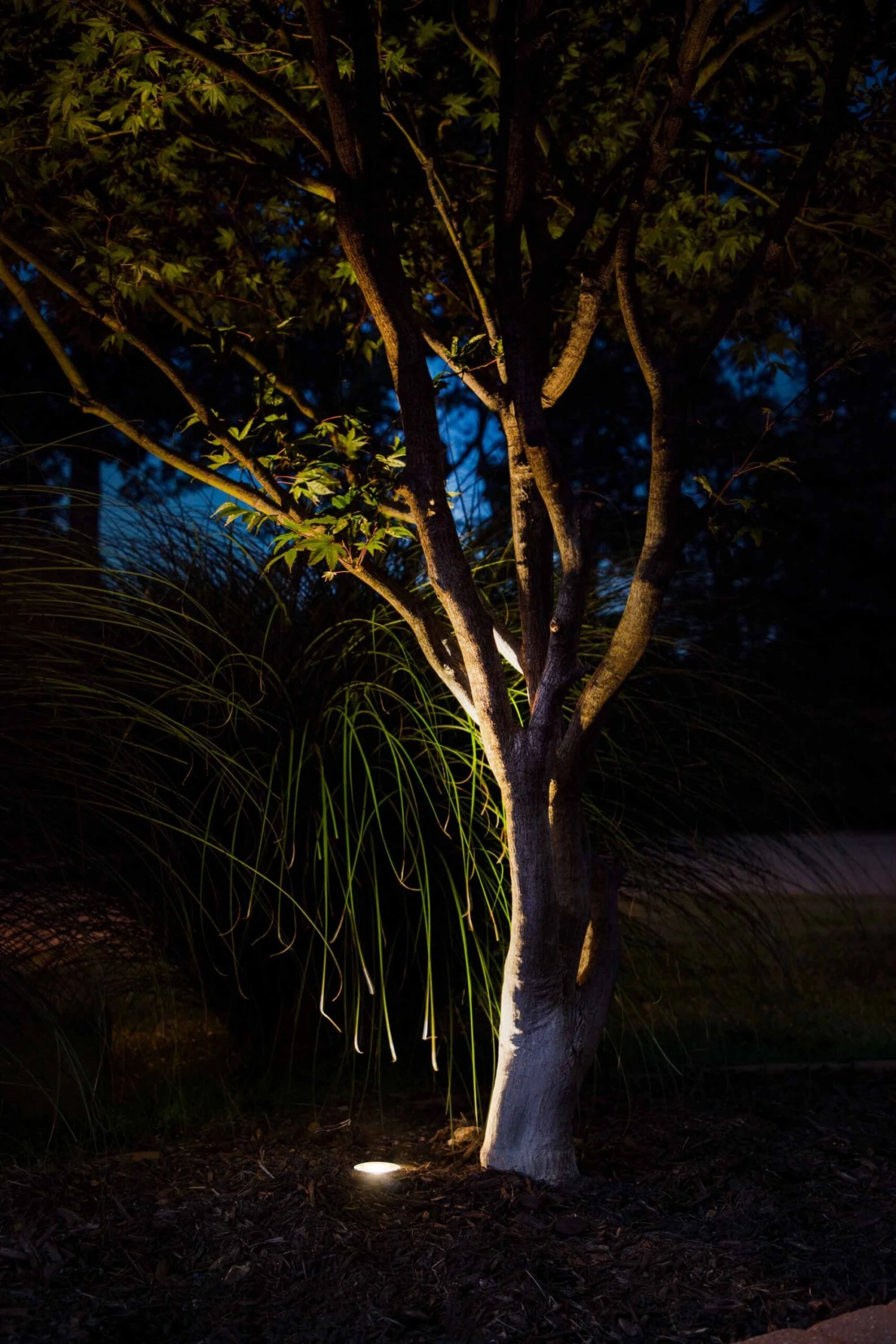 Brass LED Ready Flat Top In-Ground Well Light - Optional MR16 Bulb - 2700K / 3000K / 4000K / 6500K - Image 4