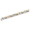30m White LED Strip Light - Radiant Series LED Tape Light - Contractor Reel - 24V - IP20 - Cool White 5000K - 1181.4in (98.40ft)