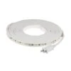 LED Strip Light - 120V White Highlight Series Tape Light - High CRI - IP65 Waterproof - 5000K - 5m