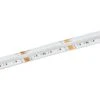 5m RGB+White COB LED Strip Light - COB Series LED Tape Light - IP20 - 24V - RGB+Cool White / RGB+Natural White / RGB+Warm White