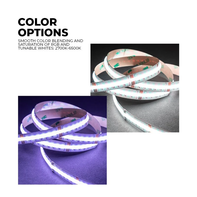5m RGB+CCT COB LED Strip Light - COB Series LED Tape Light - IP20 - 24V - Image 5